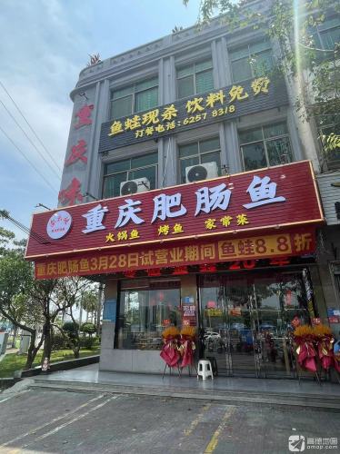 重庆肥肠鱼
