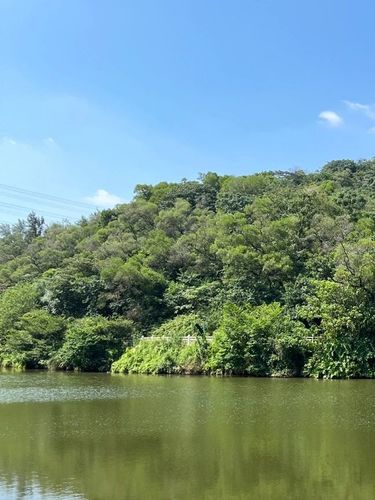 浔峰山生态公园