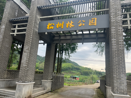 松树林公园