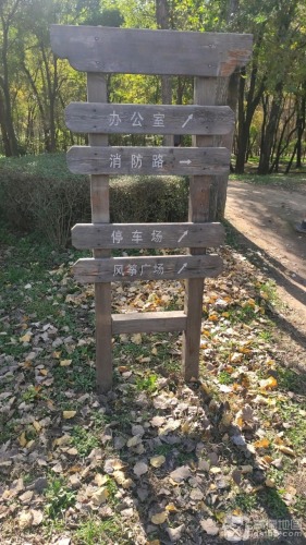 铁西森林公园-风筝广场(暂停开放)