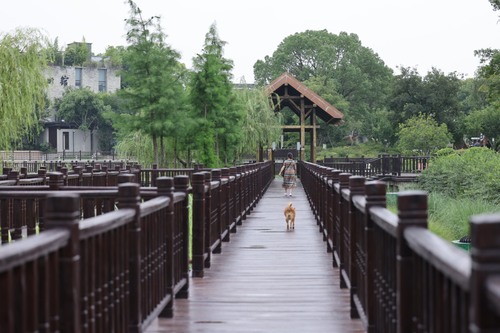 孟家湾湿地公园