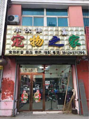 小伙伴宠物之家
