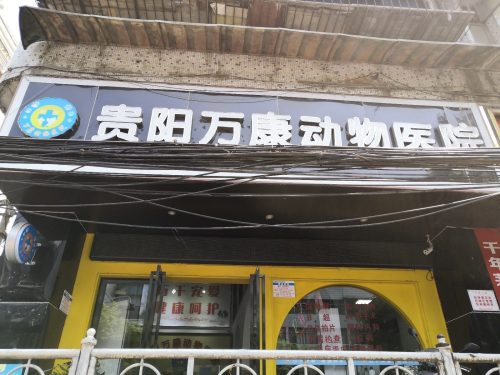 贵阳万康动物医院