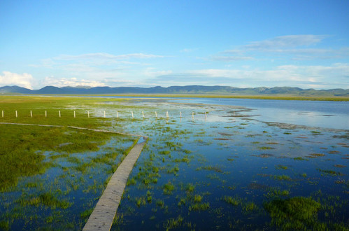 甘肃尕海则岔自然保护区-尕海湖