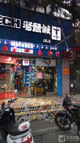 老鼠诚(八所一店)