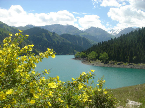 龙潭森林公园[江苏南山景区]