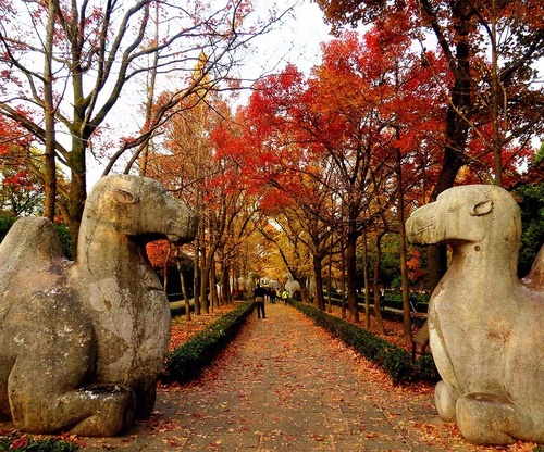 钟山风景名胜区明孝陵景区石象路神道