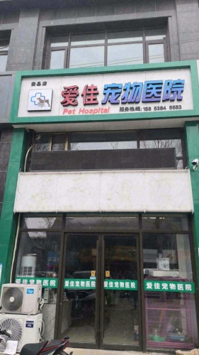 爱佳宠物医院