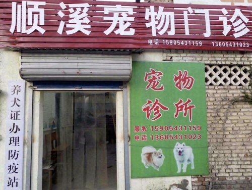 顺溪宠物门诊