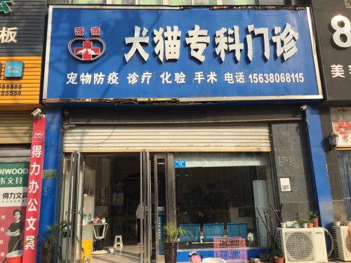 薇薇犬猫专科门诊