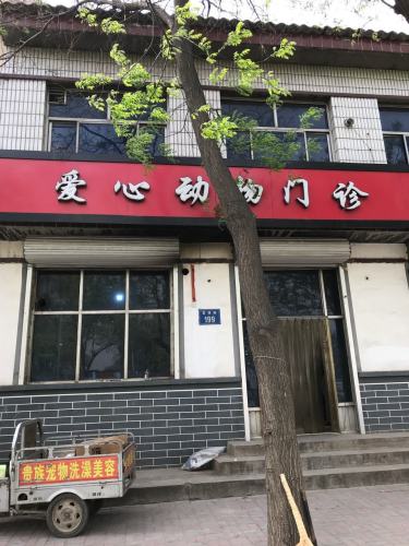 爱心动物医院