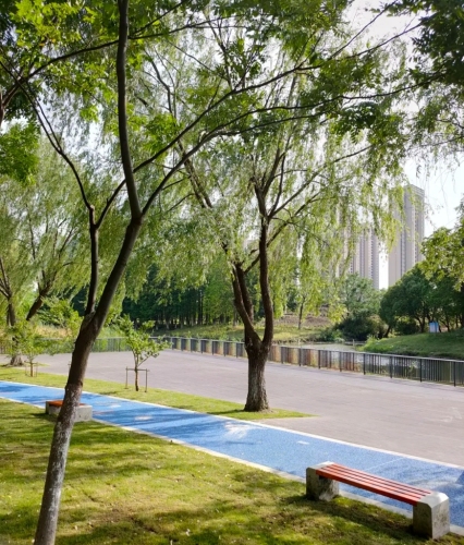 集善公园