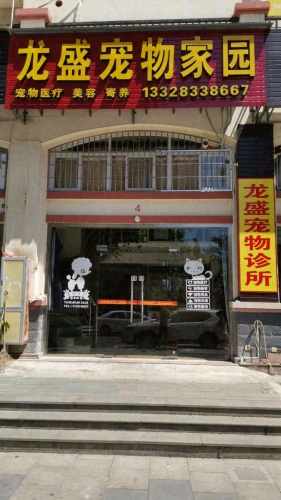 龙盛宠物诊所