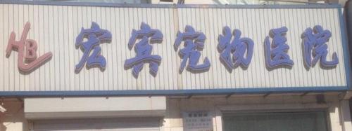 瑞派宏宾宠物医院中央商城分院
