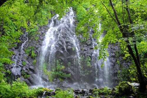长白石林风景区