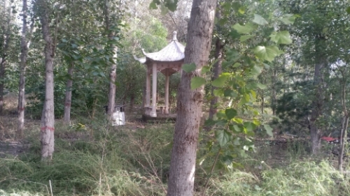兰亭公园