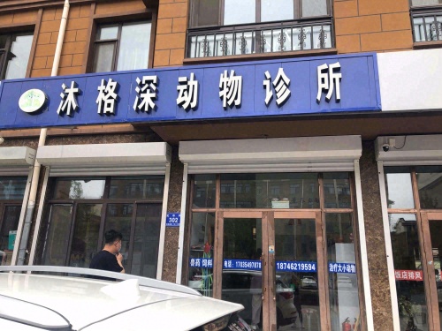 沐格深动物诊所