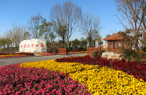 西青郊野公园