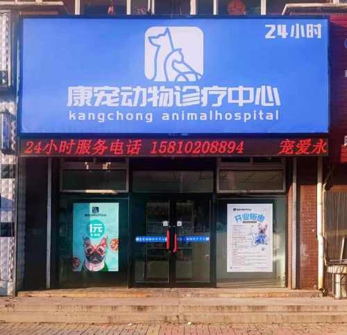康宠动物诊疗中心
