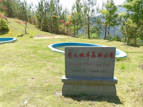 庆元城市森林公园