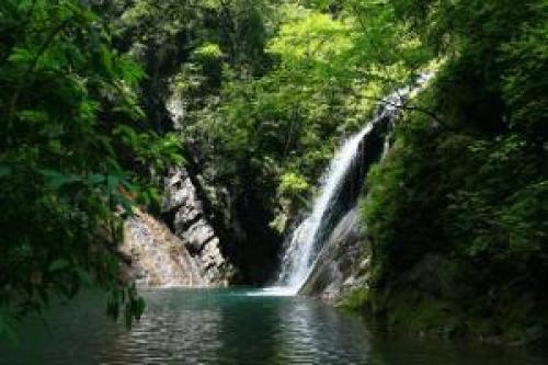 铁山坪森林公园