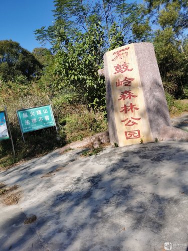 石鼓岭森林公园