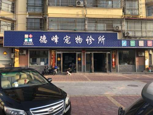 德峰宠物诊所