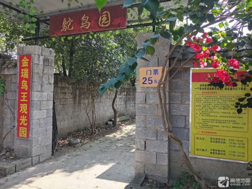 金瑞鸵鸟生态园
