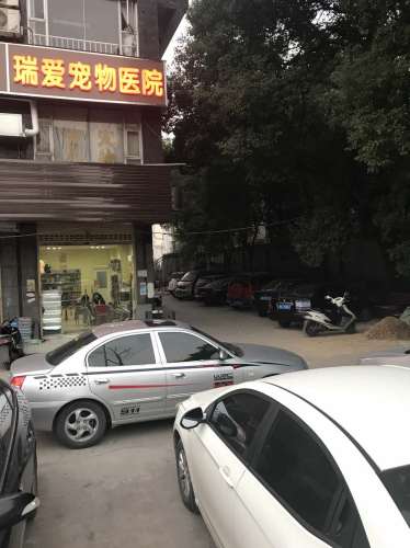 瑞爱宠物医院