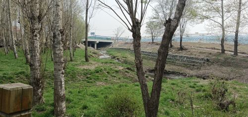 梨树森林公园