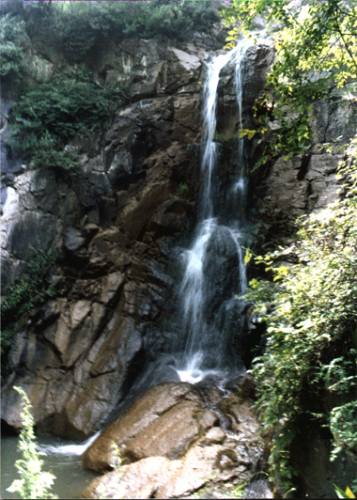 燕子山国家森林公园