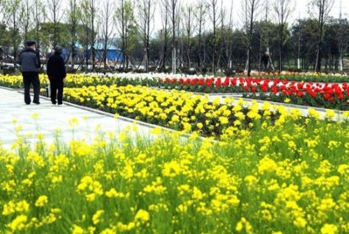 嘉兴植物园