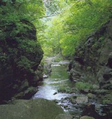 英山烈士陵园