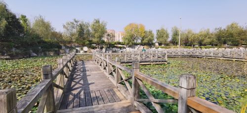 温泉公园