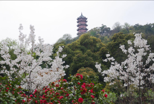 锡惠公园-龙光塔