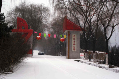 大寨森林公园