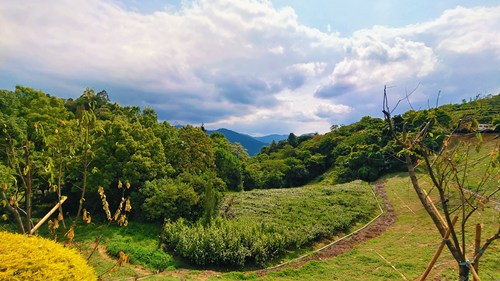 大王山森林公园