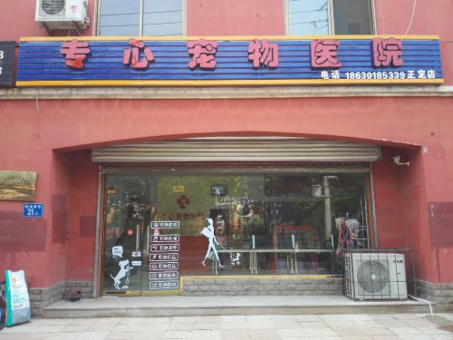 专心宠物诊疗(正定店)