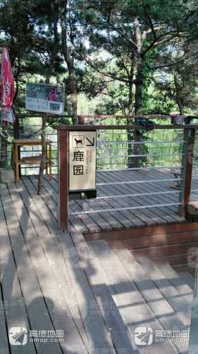 燕塞湖景区-鹿园