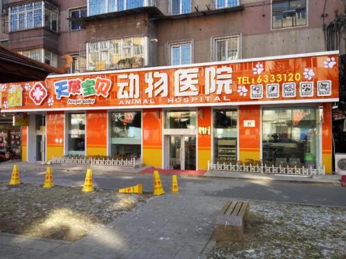 天使宝贝动物医院