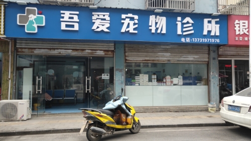 吾爱宠物诊所