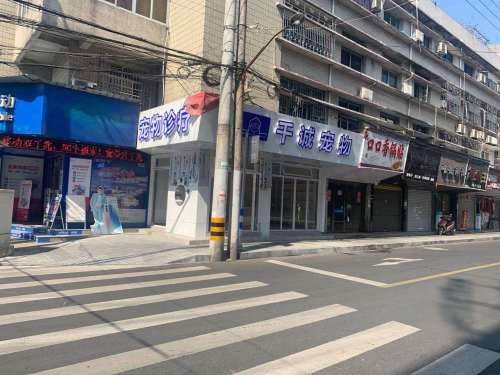 千诚宠物诊疗