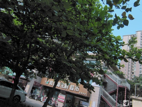 和佳隆生鲜超市(五源河公寓B区店)