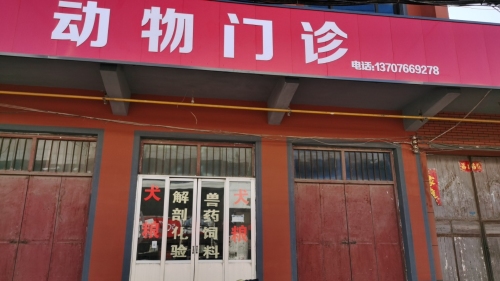 动物门诊