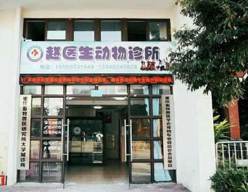 赵医生动物诊所