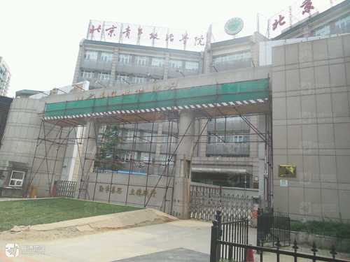 北京青少年研究所