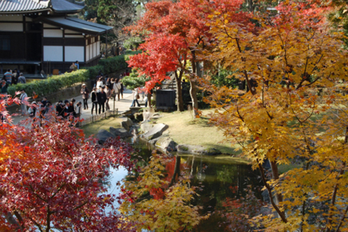 圆觉寺