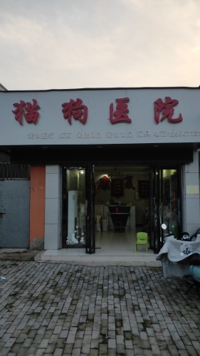 利辛县康复猫狗医院(国强路)