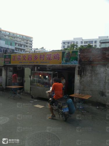 文昌乡村笼鸡