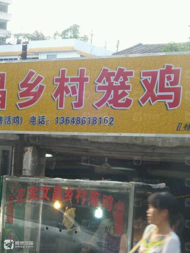 文昌乡村笼鸡